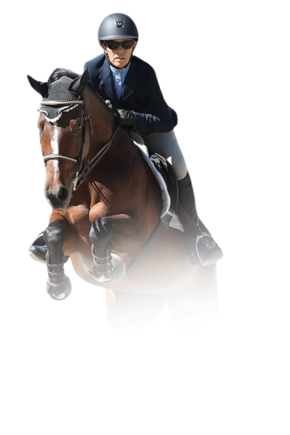 horse drawing